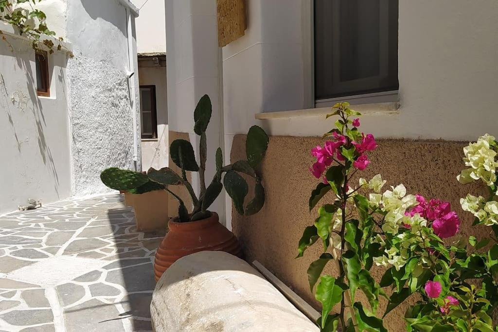Naxos CityNaxion Esti - Διαμονή Στην Παλιά Χώρα Της Νάξου别墅 外观 照片